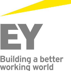 Team Page: The Climate Strikes!